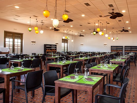 Imagen general del Hotel Magic Natura Animal, Waterpark & Polynesian Lodge Resort. Foto 23