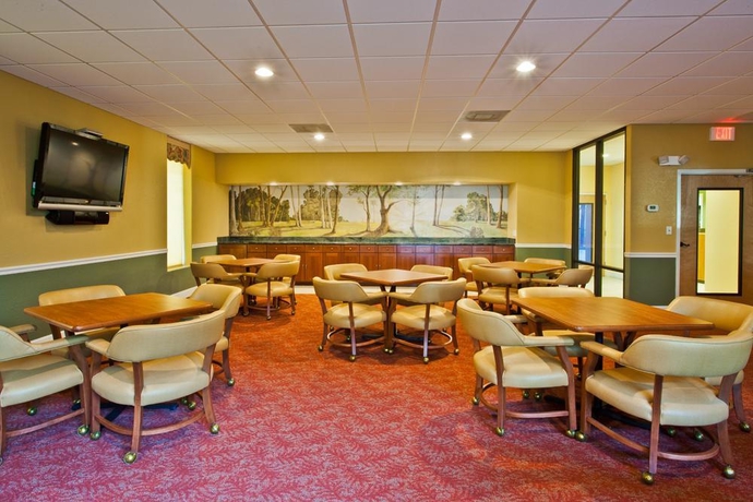 Imagen general del Hotel Magic Tree Resort. Foto 5