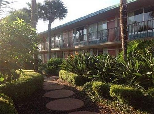 Imagen general del Hotel Magic Tree Resort. Foto 7