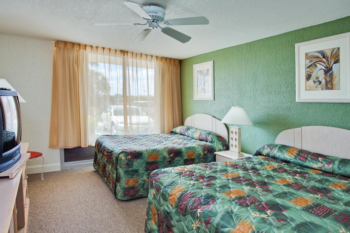 Imagen general del Hotel Magic Tree Resort. Foto 11