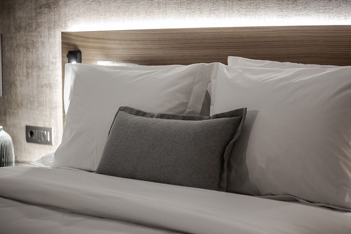 Imagen de la habitación del Hotel Magnes. Foto 3