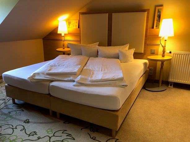 Imagen de la habitación del Hotel Magnetberg Baden. Foto 7