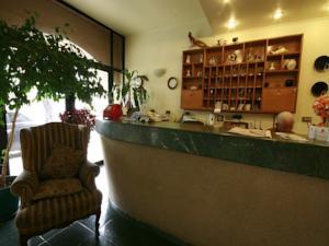 Imagen de los interiores del Hotel Magno. Foto 8