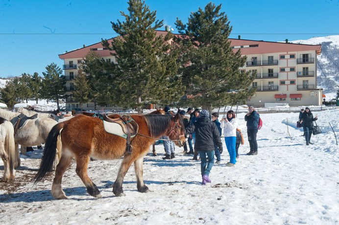 Imagen general del Hotel Magnola Palace. Foto 3