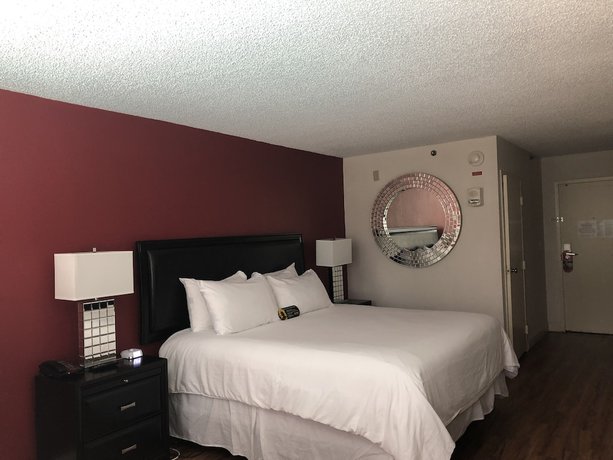 Imagen de la habitación del Hotel Magnolia Bluffs, Bw Signature Collection. Foto 3