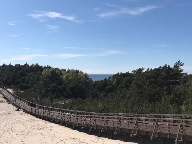 Imagen general del Hotel Magnolia Guest House. Foto 2