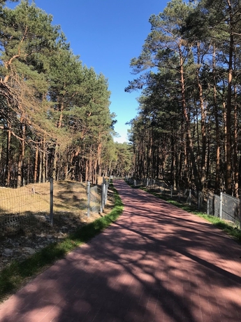 Imagen general del Hotel Magnolia Guest House. Foto 3