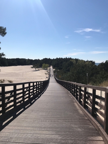 Imagen general del Hotel Magnolia Guest House. Foto 4