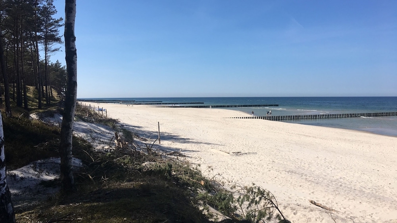 Imagen de los exteriores del Hotel Magnolia Guest House. Foto 15