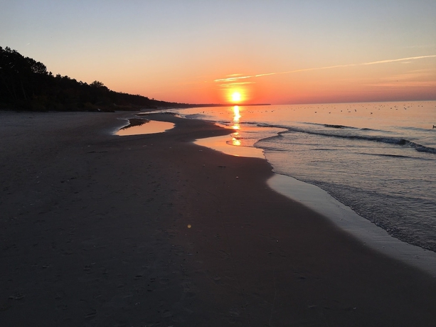 Imagen de los exteriores del Hotel Magnolia Guest House. Foto 16