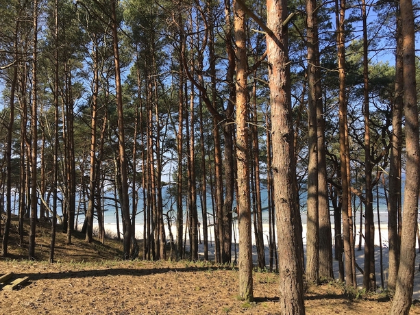 Imagen de los exteriores del Hotel Magnolia Guest House. Foto 17