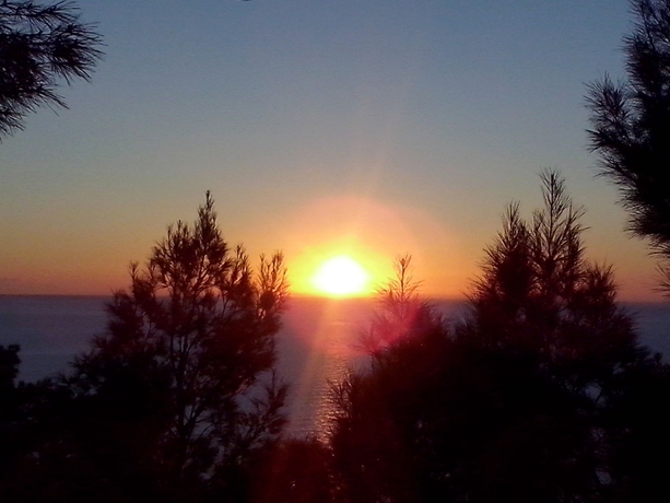 Imagen de los exteriores del Hotel Magnolia, Vieste. Foto 6