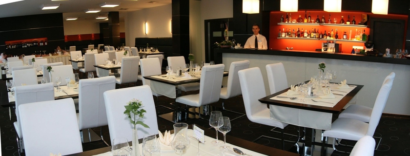 Imagen del bar/restaurante del Hotel Magnus. Foto 4