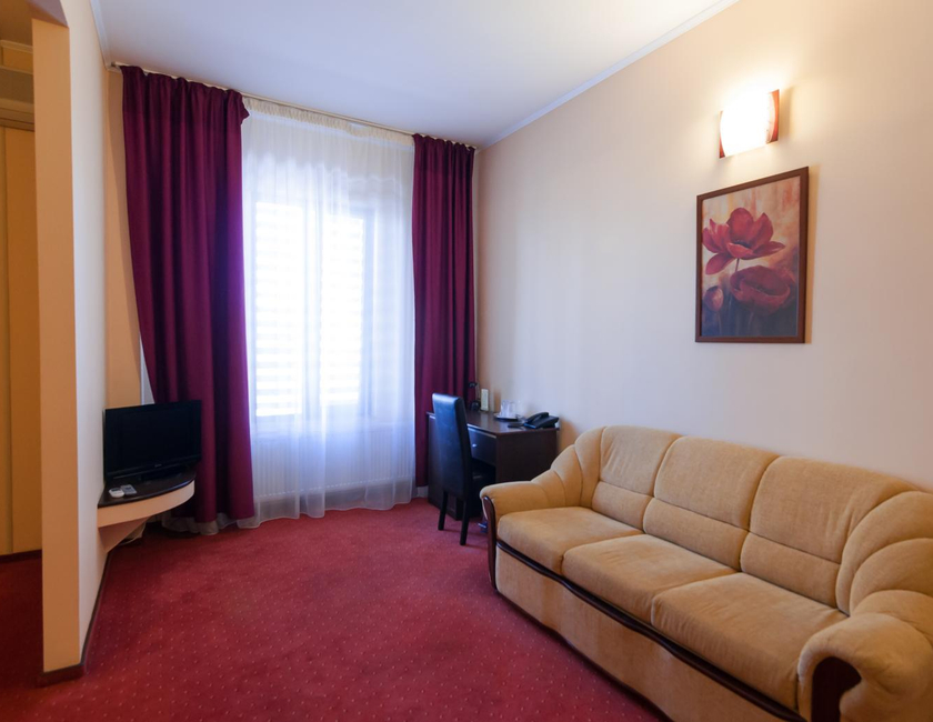 Imagen general del Hotel Magnus Galati. Foto 5