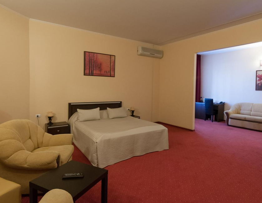 Imagen general del Hotel Magnus Galati. Foto 6