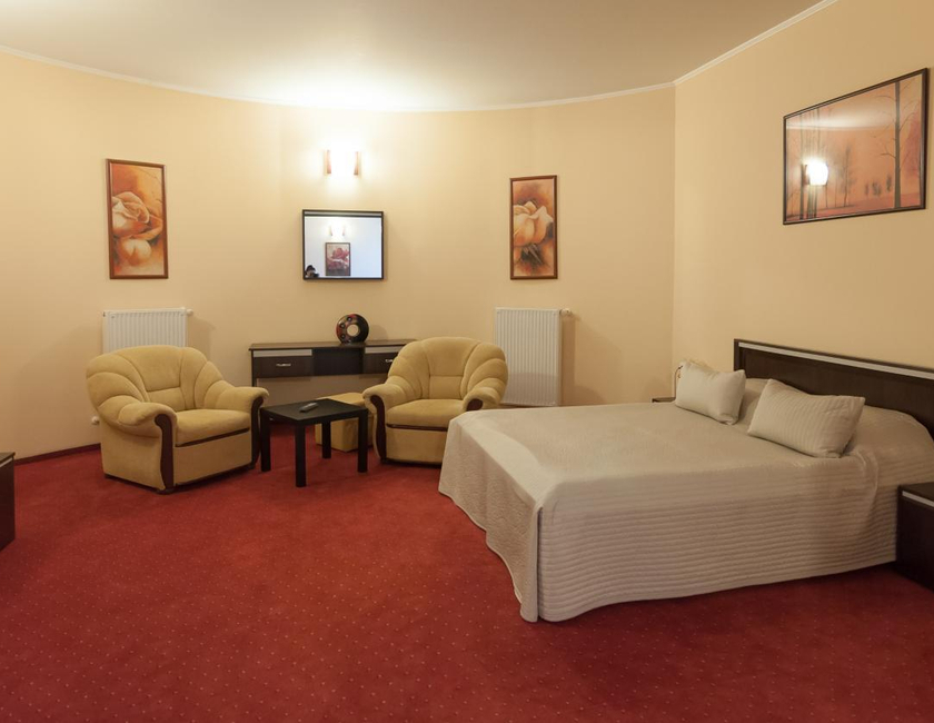 Imagen general del Hotel Magnus Galati. Foto 8