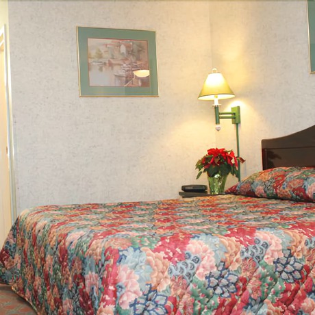 Imagen de la habitación del Hotel Magnuson Fowlerville. Foto 10