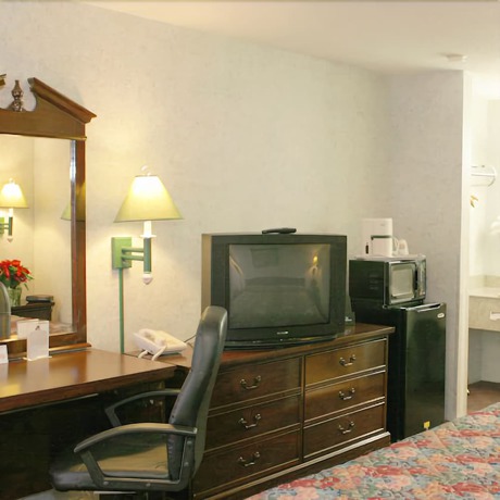 Imagen de la habitación del Hotel Magnuson Fowlerville. Foto 11