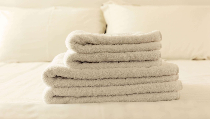 Imagen de la habitación del Hotel Magnuson Jacksonville Downtown. Foto 3