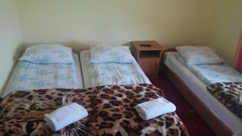 Imagen de la habitación del Hotel Małgosia. Foto 16