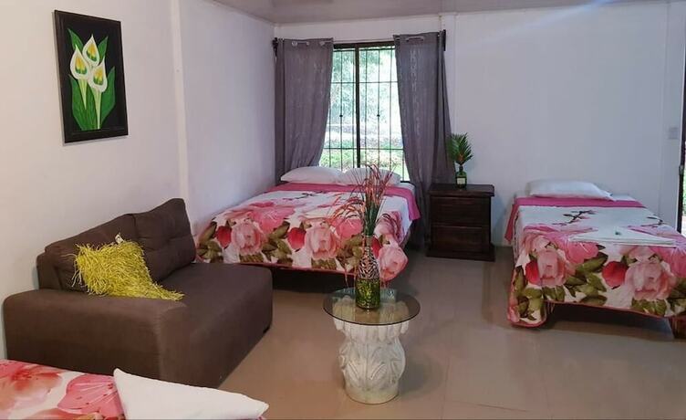 Imagen general del Hotel Maguey. Foto 1
