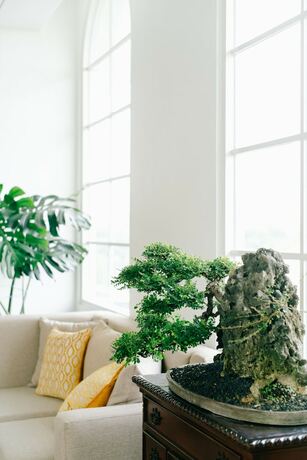 Imagen general del Hotel Mahalaya The Legacy Solo. Foto 9