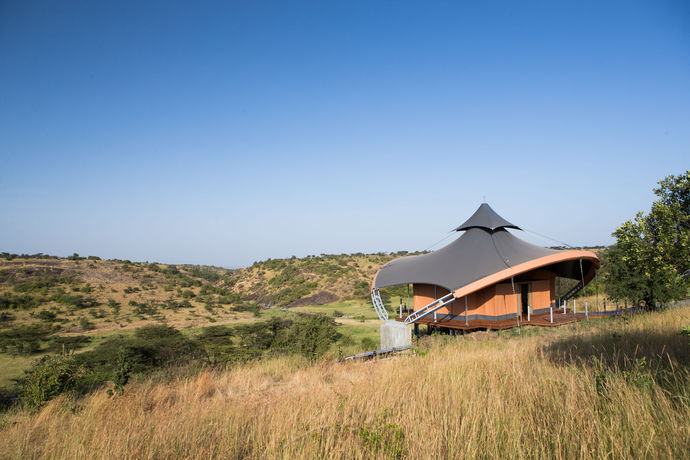 Imagen de la piscina del Hotel Mahali Mzuri. Foto 15