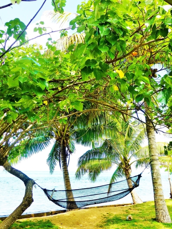 Imagen de los exteriores del Hotel Mai Dive Astrolabe Reef Resort. Foto 5