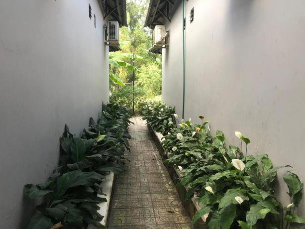 Imagen general del Hotel Mai Vuong Thuy. Foto 4