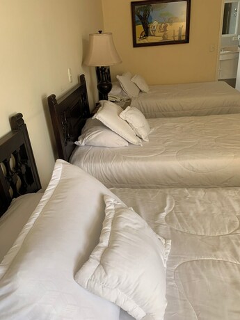 Imagen general del Hotel Maicao Internacional. Foto 12