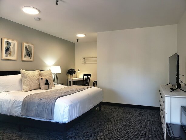 Imagen de la habitación del Hotel Main Street Motel. Foto 18