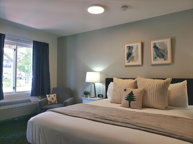 Imagen de la habitación del Hotel Main Street Motel. Foto 19