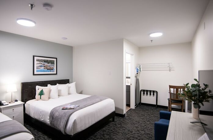 Imagen general del Hotel Main Street Motel. Foto 8