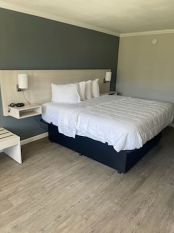 Imagen de la habitación del Hotel MainStay Suites. Foto 4