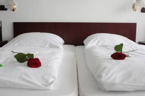 Imagen general del Hotel Mainbogen. Foto 2