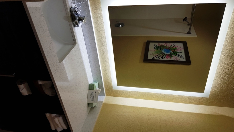 Imagen de la habitación del Hotel Mainstay Suites Greenville Airport. Foto 7