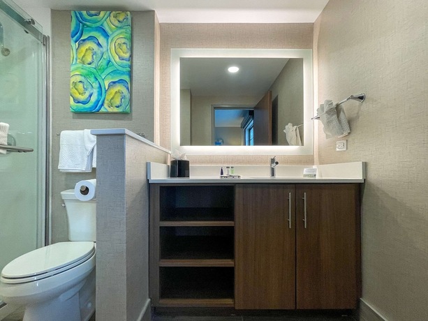 Imagen general del Hotel Mainstay Suites Oak Brook Terrace-chicago. Foto 3