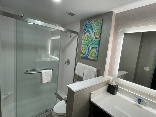 Imagen de la habitación del Hotel Mainstay Suites Oak Brook Terrace-chicago. Foto 12