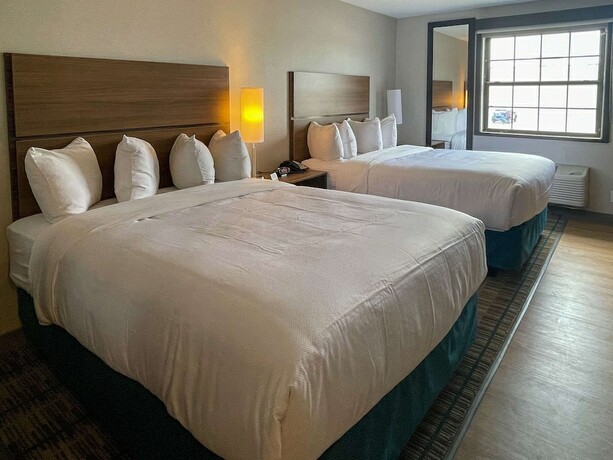 Imagen de la habitación del Hotel Mainstay Suites Oak Brook Terrace-chicago. Foto 13