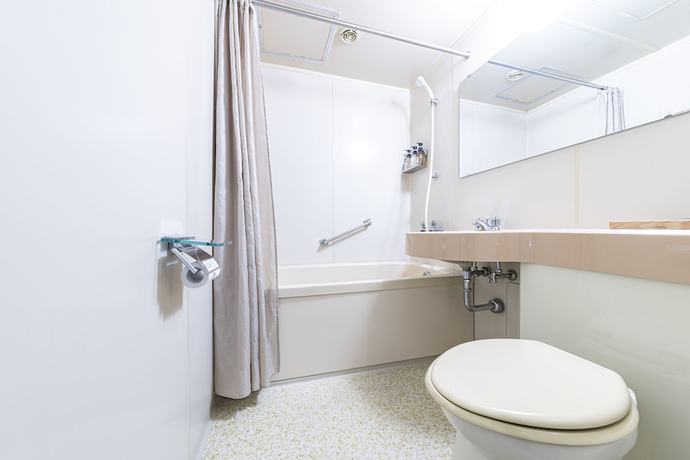 Imagen de la habitación del Hotel Maisakura Miyabi. Foto 6