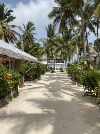 Imagen general del Hotel Maisha Matamu Beach. Foto 10