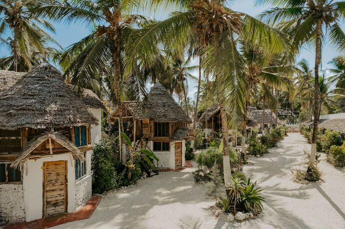 Imagen de la habitación del Hotel Maisha Matamu Beach. Foto 20