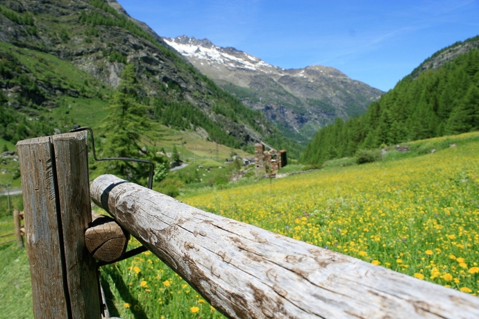 Imagen de los exteriores del Hotel Maison Des Myrtilles. Foto 9