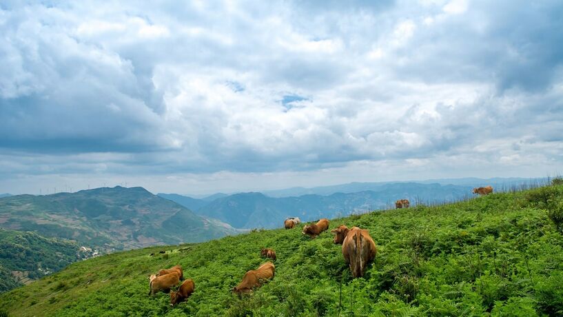 Imagen general del Hotel Maison Heritage Liao Liao Xin Resort Puzhehei. Foto 4