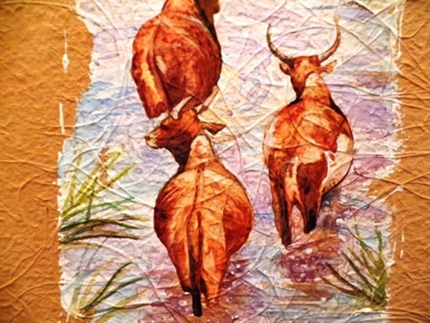 Imagen de los interiores del Hotel Maison Lovasoa. Foto 15