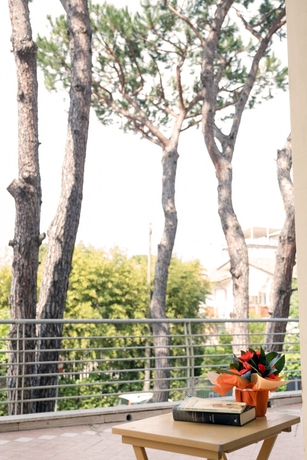 Imagen de los exteriores del Hotel Maita. Foto 16