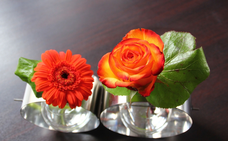 Imagen de los interiores del Hotel Majestic, Lourdes. Foto 9