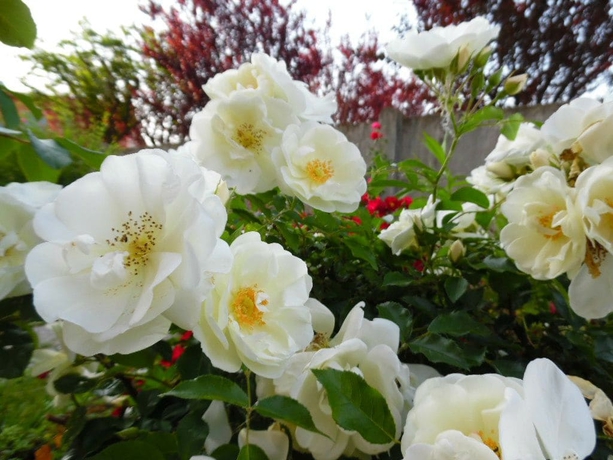 Imagen de los exteriores del Hotel Majestic, San Giuliano Milanese. Foto 14