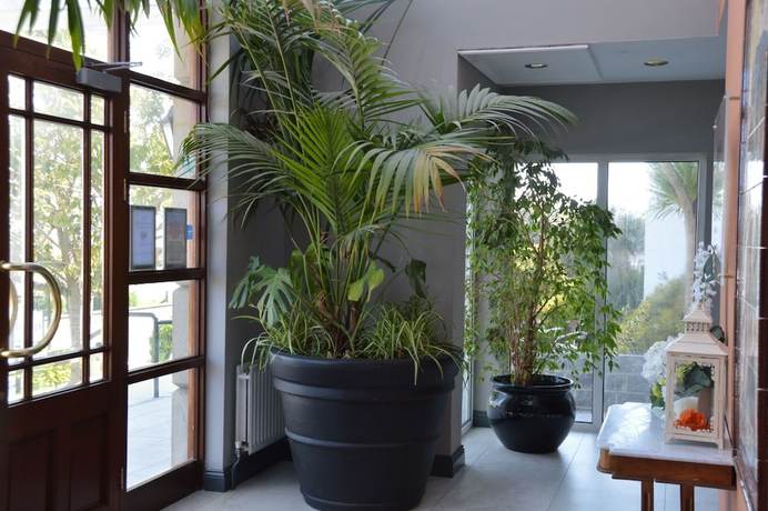 Imagen de los interiores del Hotel Majestic, Tramore. Foto 17