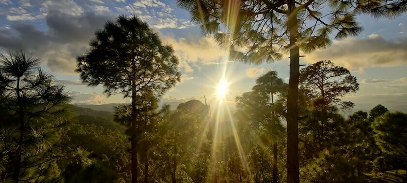 Imagen general del Hotel Majkhali Woods, Ranikhet, By Himalayan Eco Lodges. Foto 6